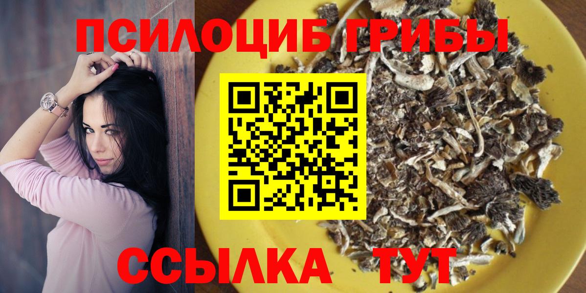 Курганинск  Псилоцибиновые грибы прущие грибы  Вход с VPN  Псилоцибиновые грибы мухоморы 
