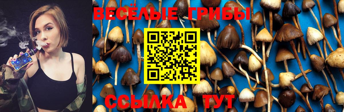 Псилоцибиновые грибы MAGIC MUSHROOMS Курганинск